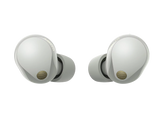 Sony - Wireless Ear Buds WF-1000XM5