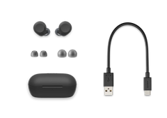 Sony - Wireless Ear Buds WF-C710