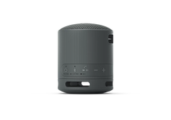 Sony - Wireless Portable Speaker SRS-XB100